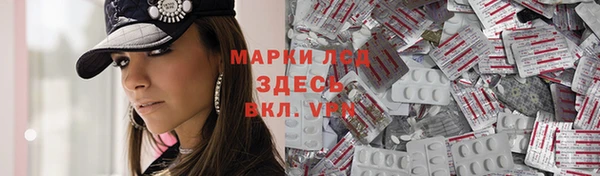 хмурый Ельня