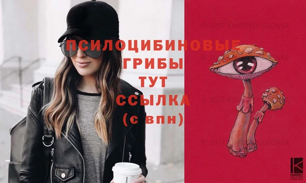 альфа пвп Елизово