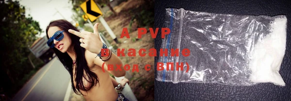 хмурый Ельня