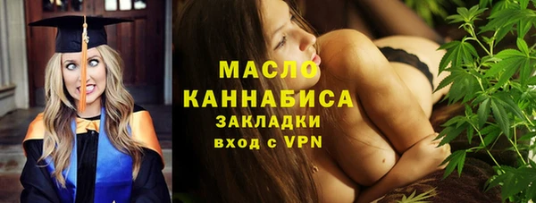 хмурый Ельня